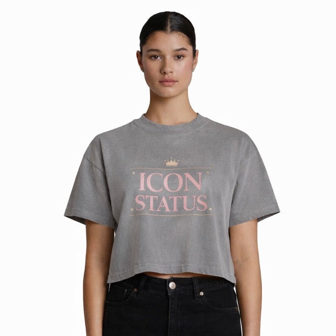 Icon Status Heavy Faded Crop Tee