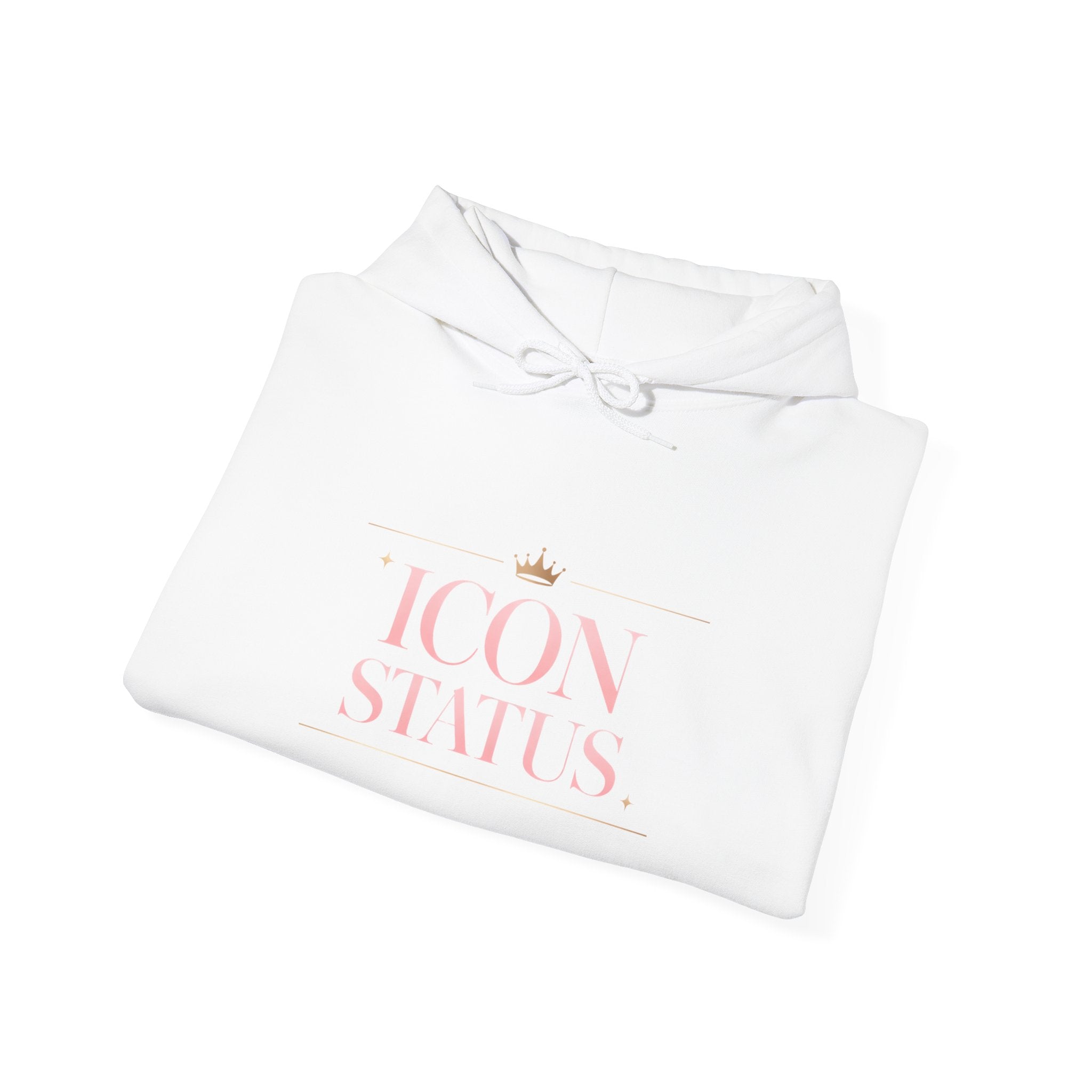 Icon Status Hoodie