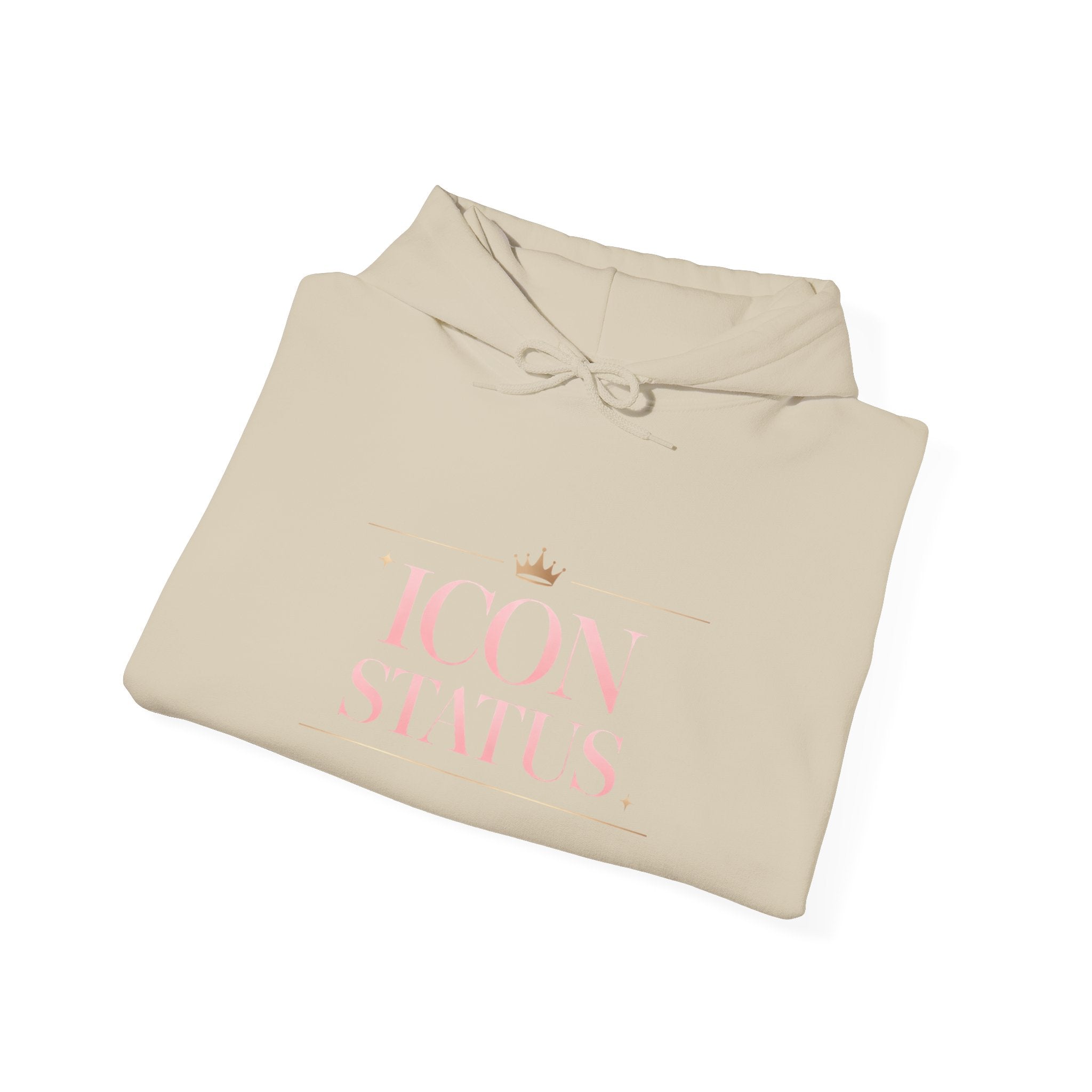 Icon Status Hoodie